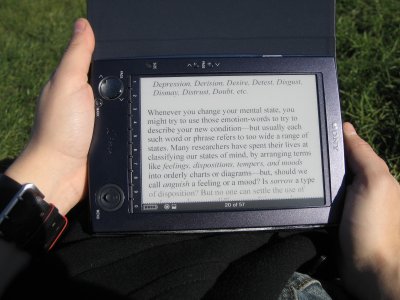 The Reader in the sunlight The Reader in the sunlight